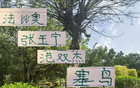 北京国安4月最佳候选，张玉宁等四名球员入选。
