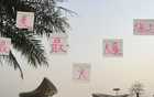 大连战申花，门票半小时售完，马莱莱VS米内罗精彩PK。
