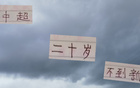 中超13轮，年轻新秀王钰栋进球最多，次为刘诚宇。