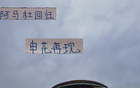 申花教练确认阿马杜回归训练，黑人体质显优势。