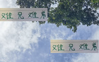 难兄难弟，京安韩佳奇与沪港王振澳共赴德康复。