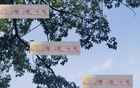 巴尔加斯助新东家保级，中超外援价值凸显
