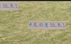 金顺凯艾迪挑战，申花奥特曼能否助年轻人胜出？