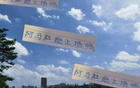 阿马杜、朱辰杰能否上场？申花战深圳，期待比赛！