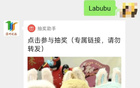 中国足协终止伊万主帅合作