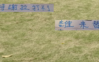 申花特谢拉伤缺，国家队无碍，反家伤两人。