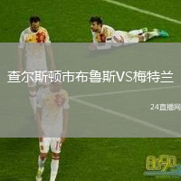 查尔斯顿市布鲁斯VS梅特兰