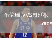 布伦瑞克VS哥廷根