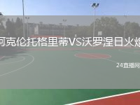 阿克伦托格里蒂VS沃罗涅日火炬