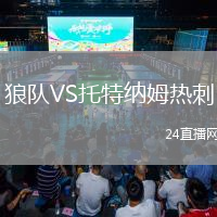 狼队VS托特纳姆热刺