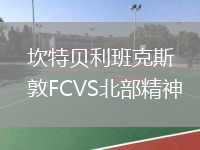 坎特贝利班克斯敦FCVS北部精神