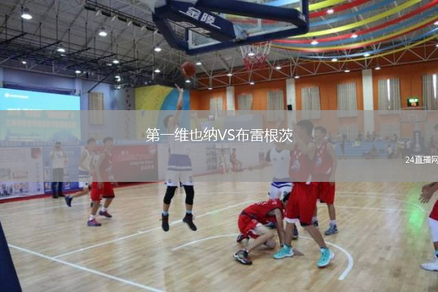 第一维也纳VS布雷根茨
