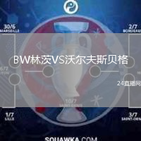 BW林茨VS沃尔夫斯贝格