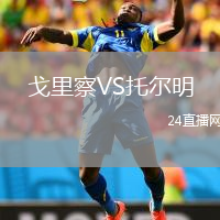 戈里察VS托尔明