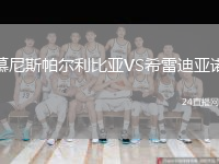 慕尼斯帕尔利比亚VS希雷迪亚诺