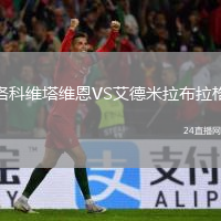 洛科维塔维恩VS艾德米拉布拉格