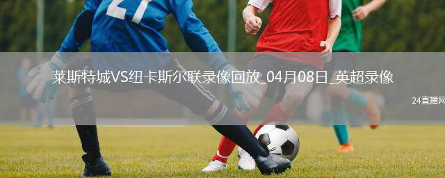 英超第31轮莱斯特城0-3纽卡斯尔联