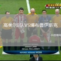高美尔B队VS博布鲁伊斯克