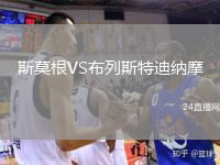斯莫根VS布列斯特迪纳摩