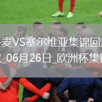 欧洲杯小组赛C组第3轮丹麦vs塞尔维亚精彩片段