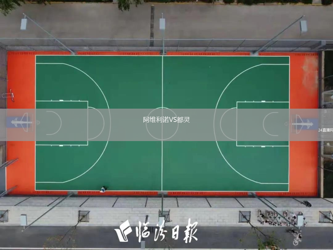 阿维利诺VS都灵