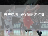 莫兰德斑马VS布伦达拉鹰