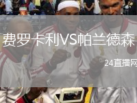 费罗卡利VS帕兰德森