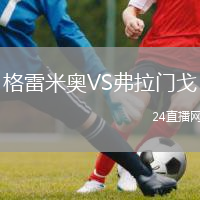 格雷米奥VS弗拉门戈