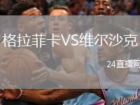 格拉菲卡VS维尔沙克