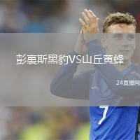 彭裏斯黑豹VS山丘黄蜂