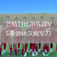芒特甘比尔先锋VS桑德林汉姆军刀