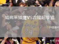 威弗莱猎鹰VS吉隆超级猫