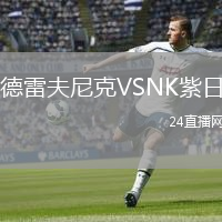 德雷夫尼克VSNK紫日