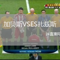 加贝斯VSES扎茲斯