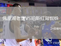 佩里湖老鹰VS珀斯红背蜘蛛