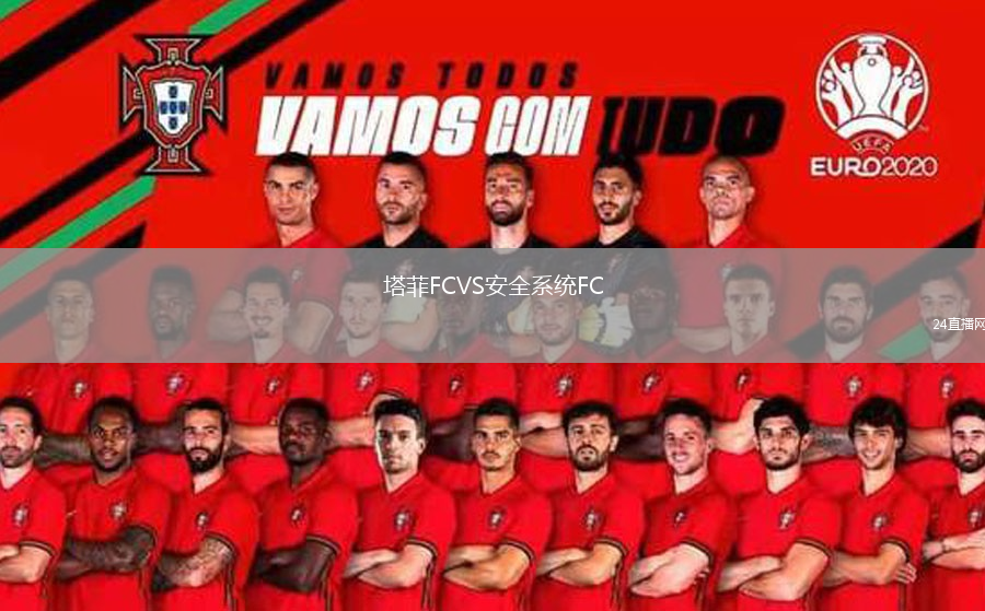 塔菲FCVS安全系统FC