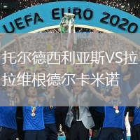 托尔德西利亚斯VS拉维根德尔卡米诺