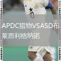 APDC猎物VSASD布莱恩利格纳诺