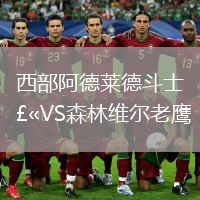 西部阿德莱德斗士VS森林维尔老鹰