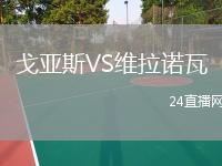 戈亚斯VS维拉诺瓦