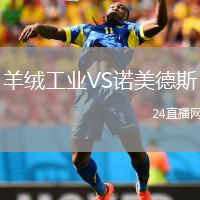 羊绒工业VS诺美德斯