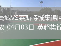 04月03日英超第30轮曼城vs莱斯特城进球视频
