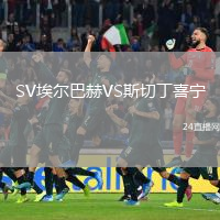 SV埃尔巴赫VS斯切丁喜宁