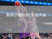 谢菲尔德联VS卡迪夫城