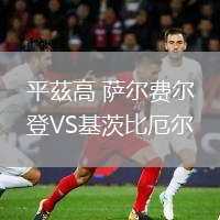 平茲高 萨尔费尔登VS基茨比厄尔