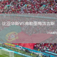 比亚华斯VS弗勒里梅洛吉斯