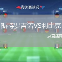 斯特罗吉诺VS利比克