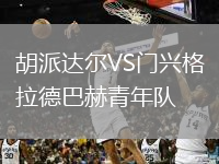 胡派达尔VS门兴格拉德巴赫青年队