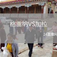 格雷纳VS加拉