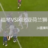 福琴VS冈比亚荷兰狮